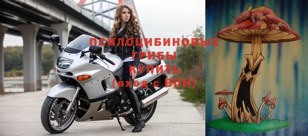 ГАЛЛЮЦИНОГЕННЫЕ ГРИБЫ Баксан