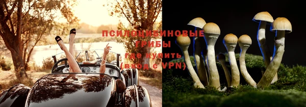 ГАЛЛЮЦИНОГЕННЫЕ ГРИБЫ Баксан